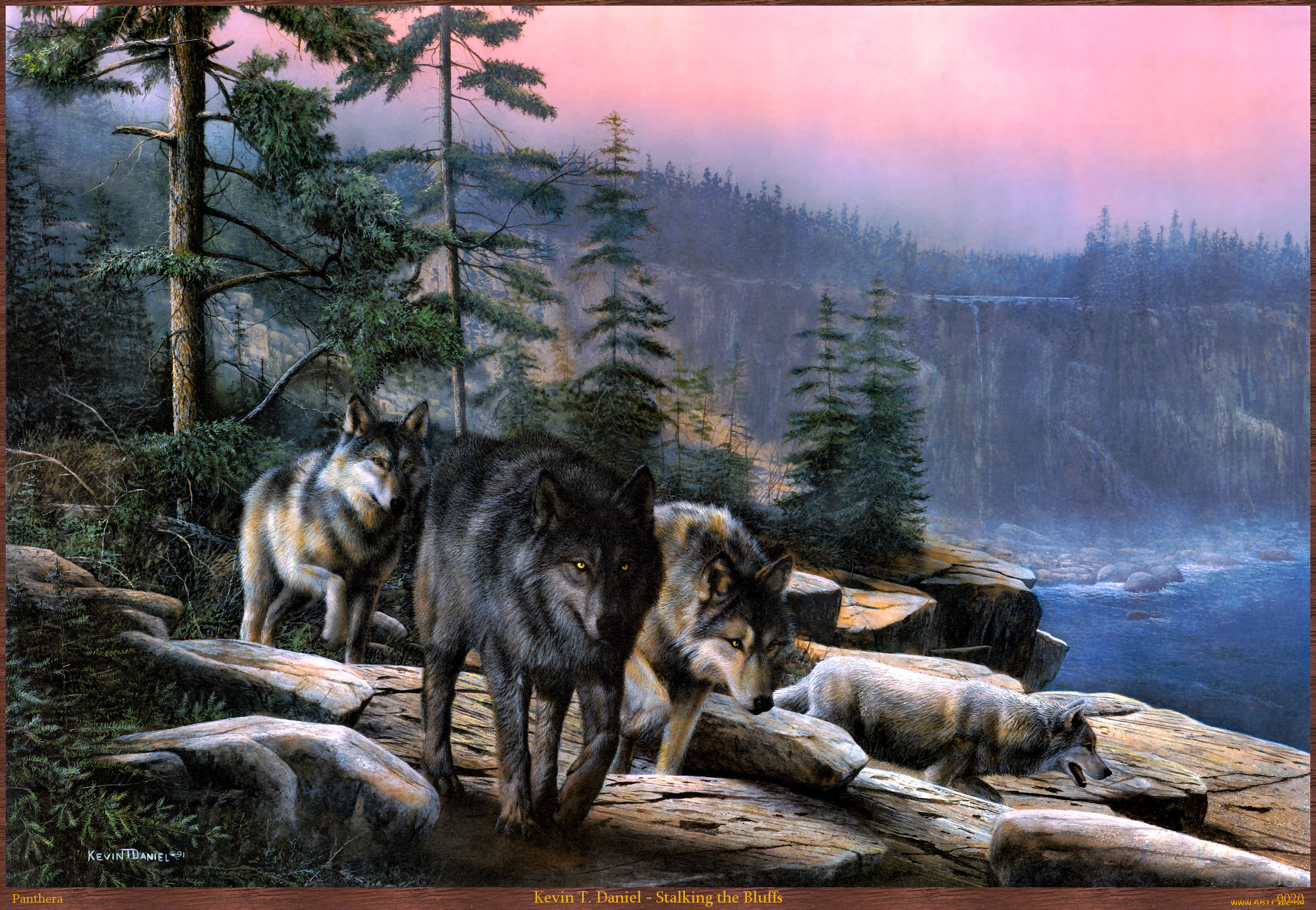 Природу про волков. Красивый волк. Красивые пейзажи с волками. Пейзаж с волком. Заставка на рабочий стол волк.